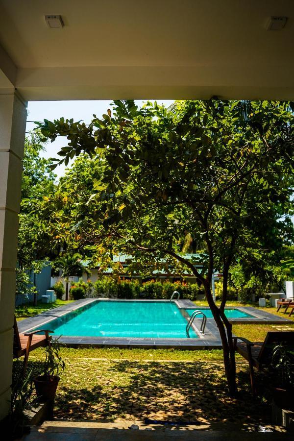 Sigiri Sierra View Resort 锡吉里亚 外观 照片