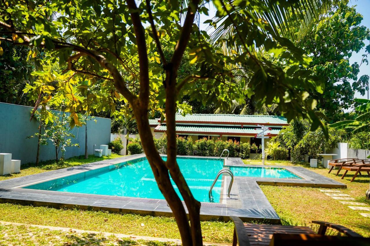 Sigiri Sierra View Resort 锡吉里亚 外观 照片