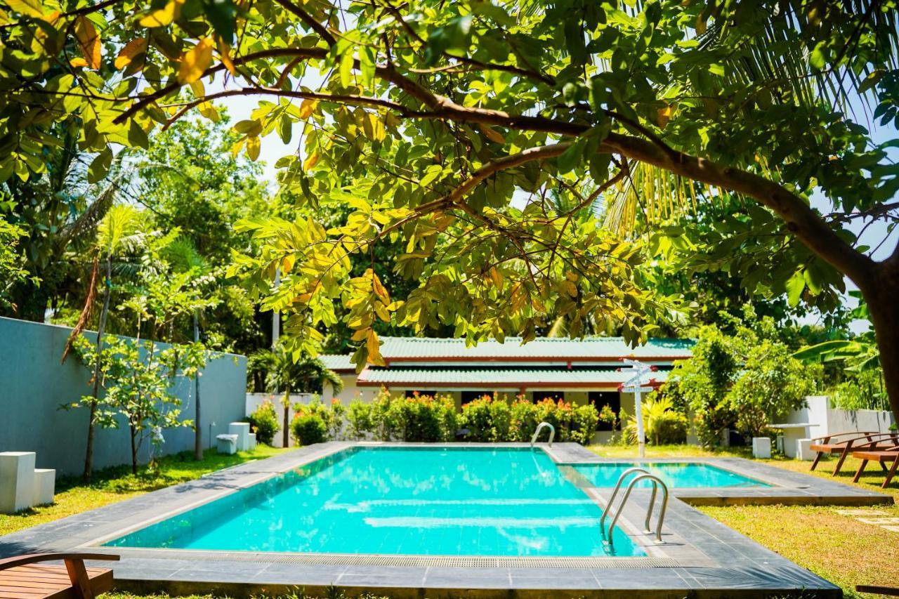 Sigiri Sierra View Resort 锡吉里亚 外观 照片